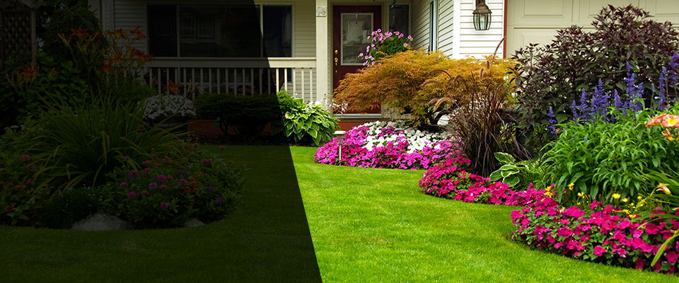 Lake Lillian Landscapers